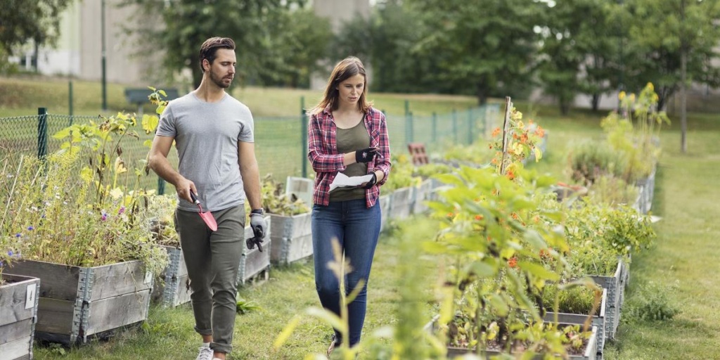Hoe leg je een tuin aan?